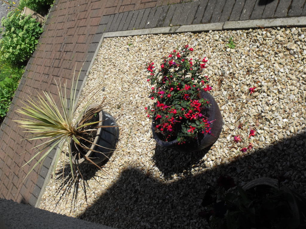 Arisaig Guest House Inverness Exterior foto